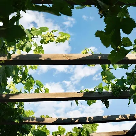 Whisper Cave House Hotell