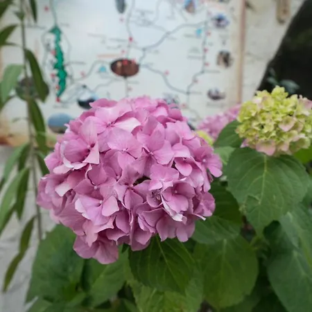 Whisper Cave House Hotell 3*