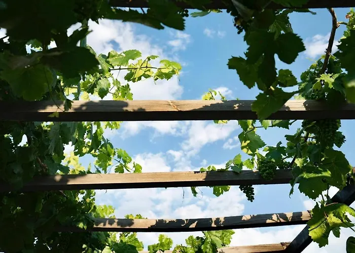 Whisper Cave House Hotel