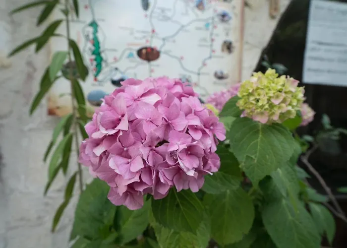 Whisper Cave House Hotell 3*